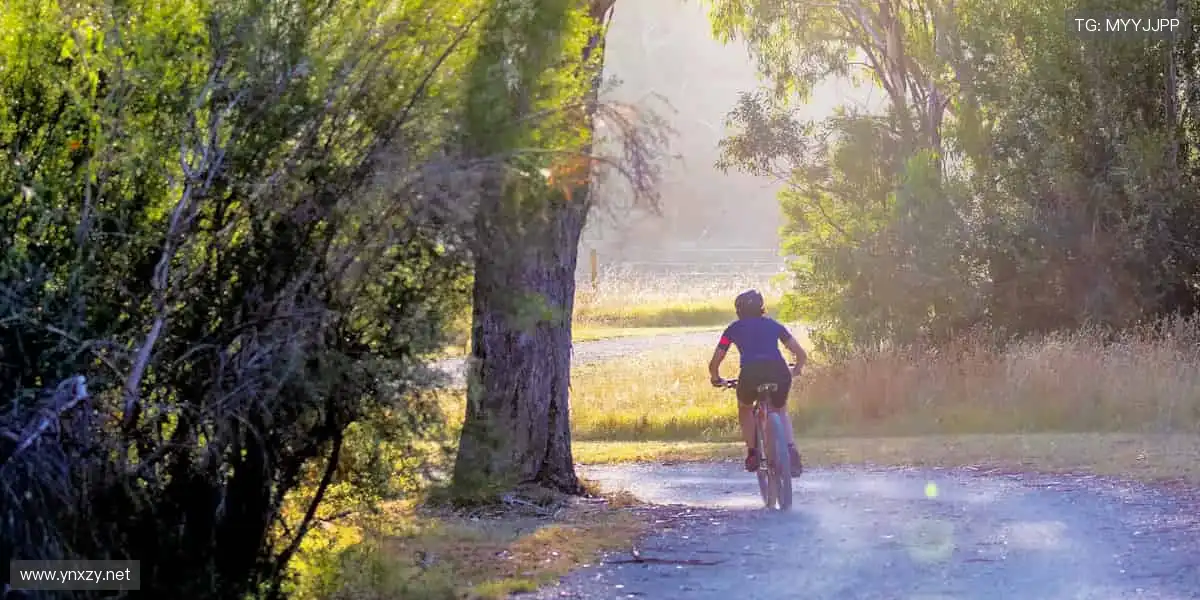 超清画质,仿佛置身现场👀🏟️
